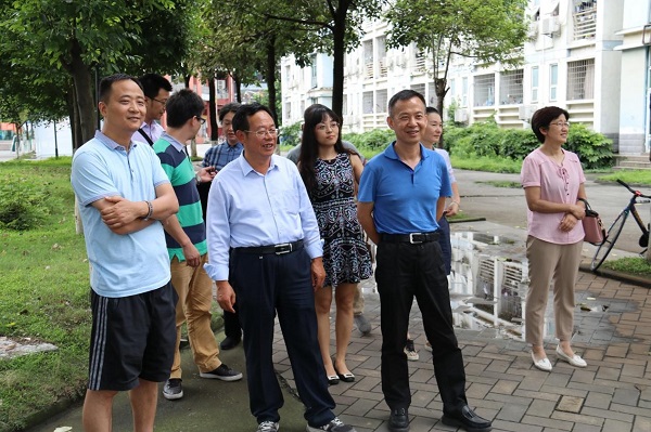 1563352751251054168.jpg 18.jpg