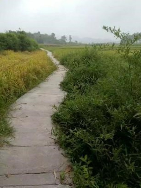 1637044504578025855.jpg 黄勇1.jpg